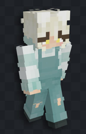 MC skin
